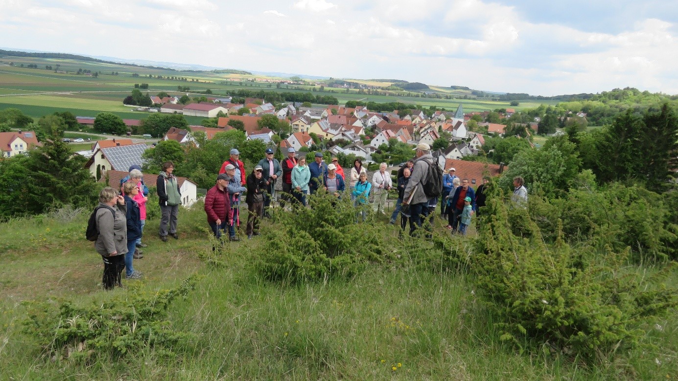 Weidelandschaften rund um Holheim