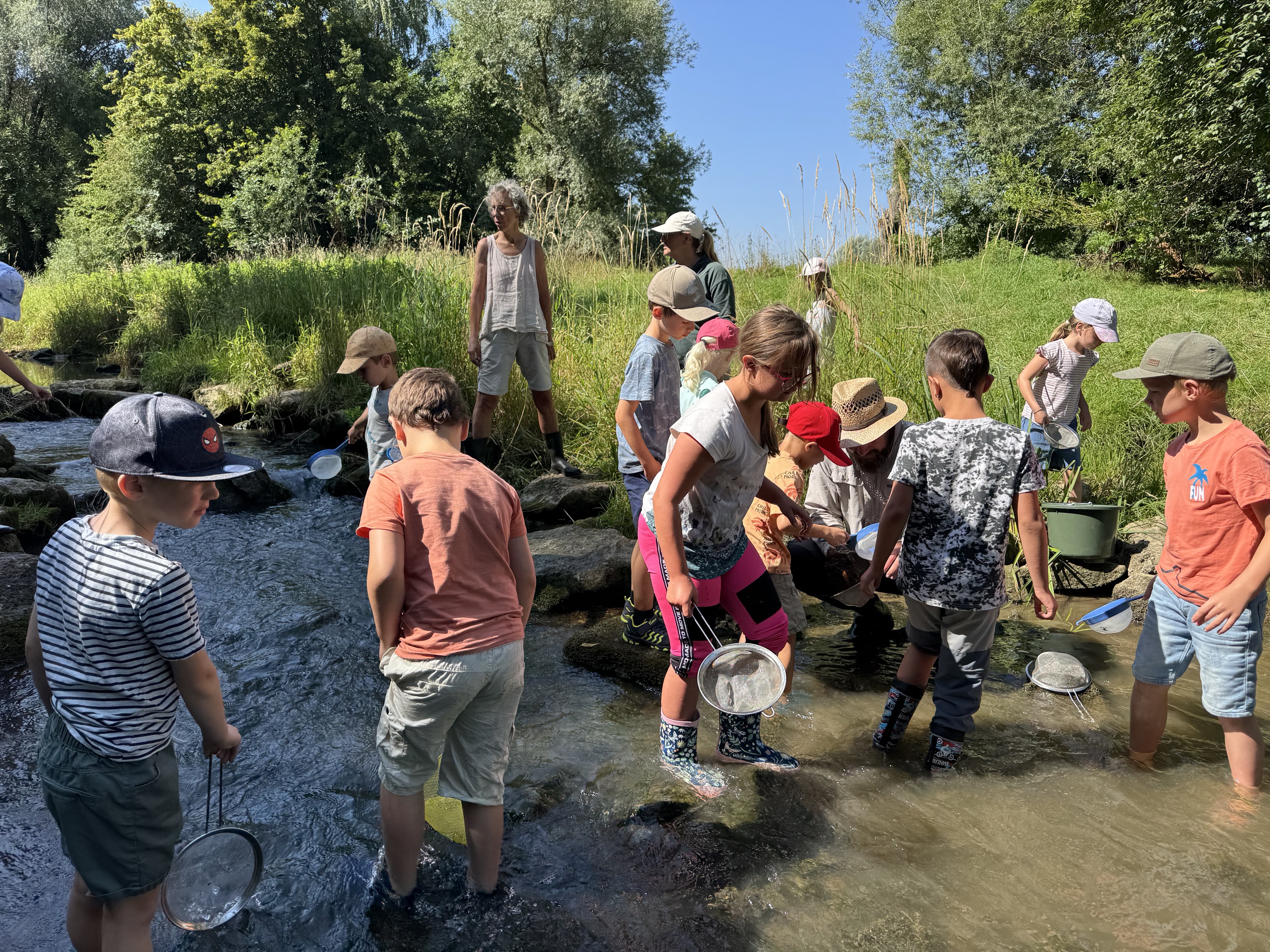 Beim Sommerferienprogrammpunkt des Rieser Naturschutzvereins durften die Kinder mit Keschern kleine Tierchen in der Eger fangen.