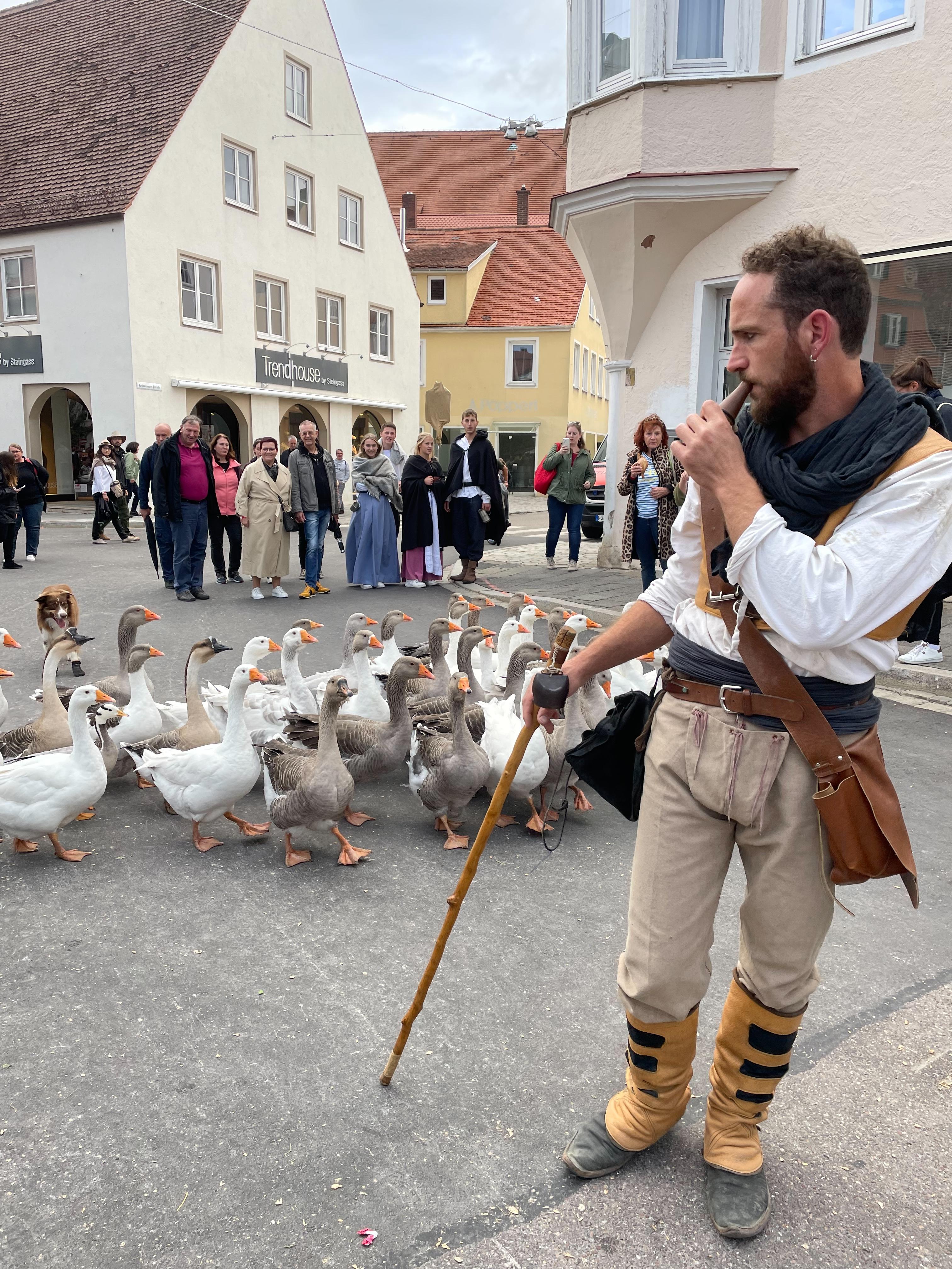 Der Künstler Pépiloué mit seiner Gänseschar beim Stadtmauerfest 2022. Auch 2025 treten die Gänse wieder auf.