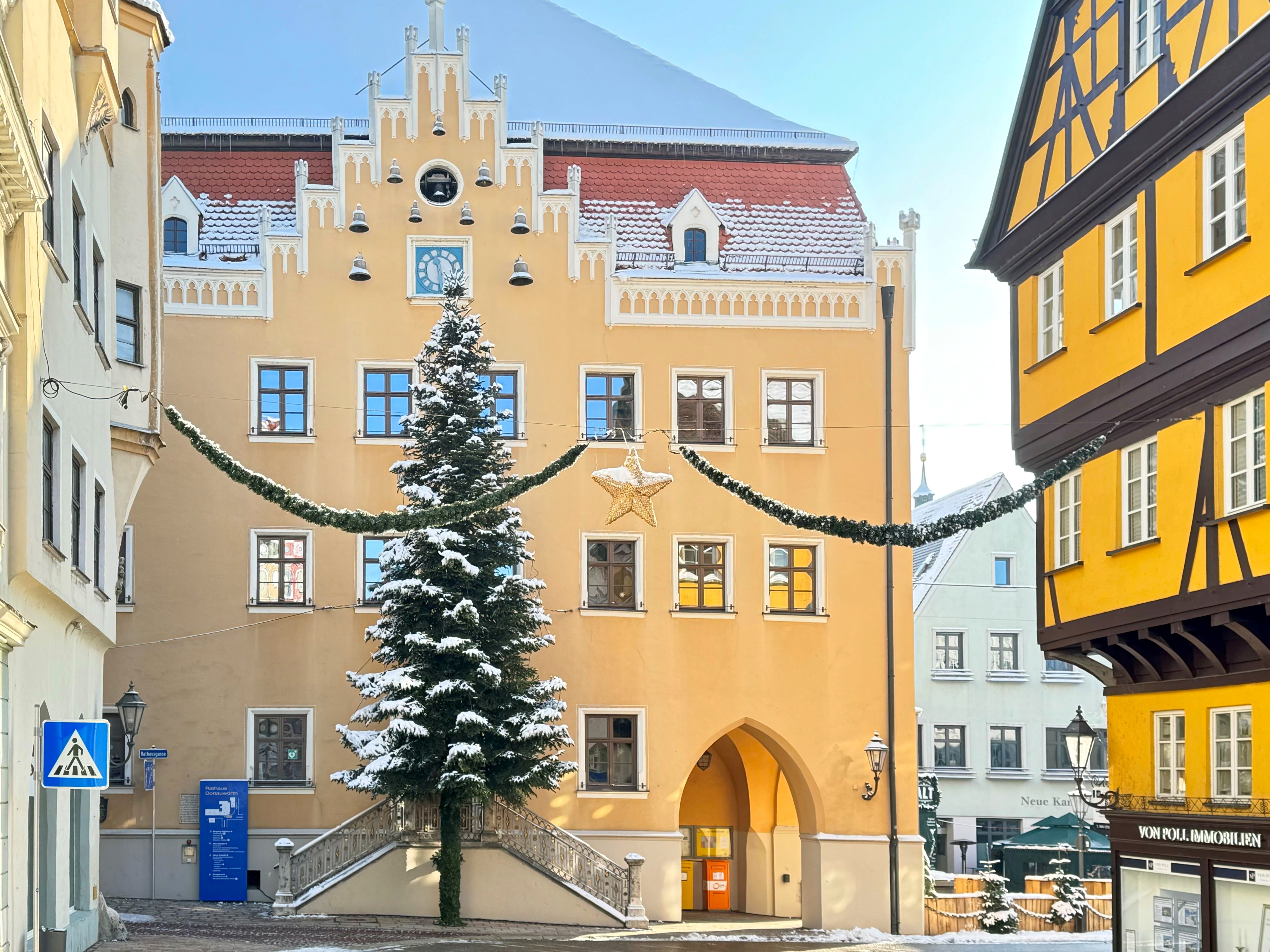 Christbäume Rathaus