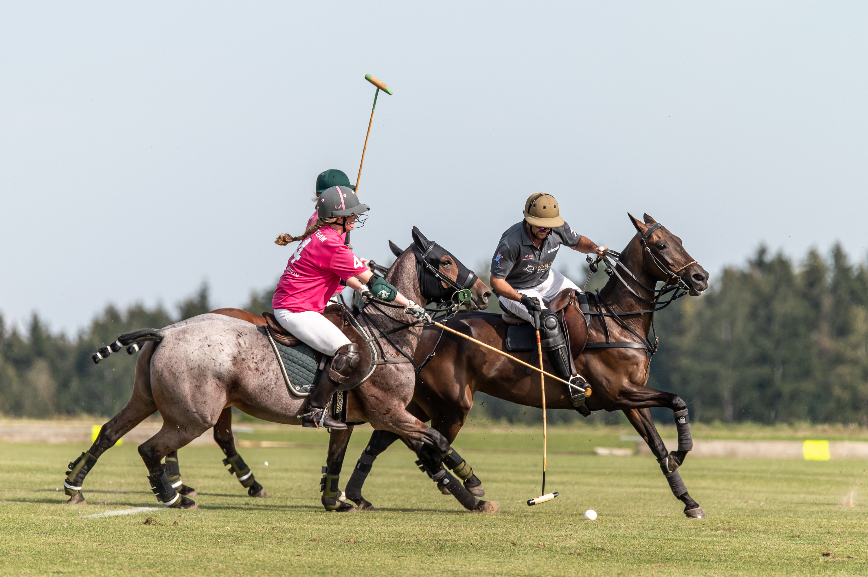 In Tagmersheim wird mittlerweile seit 2012 aktiv Polo gespielt.