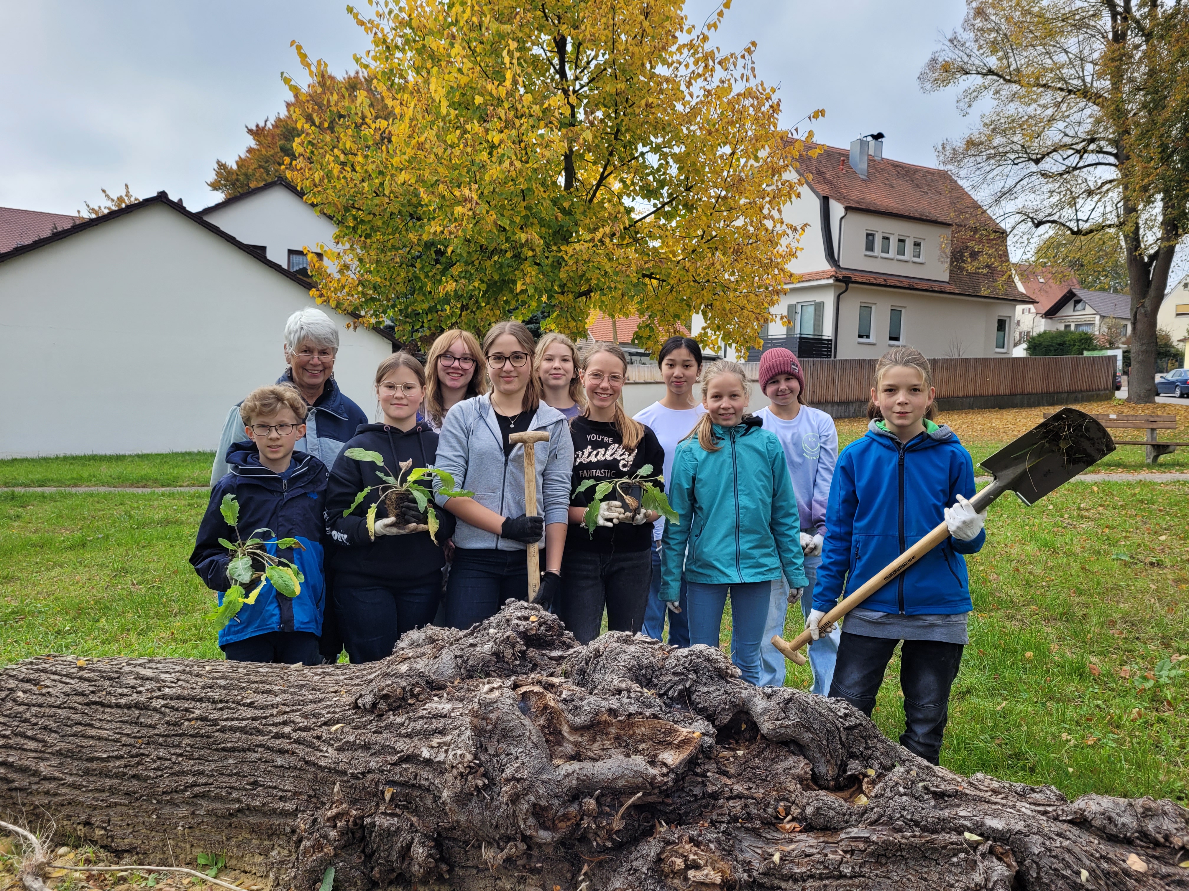 Wiesensalbei Lena Pollak