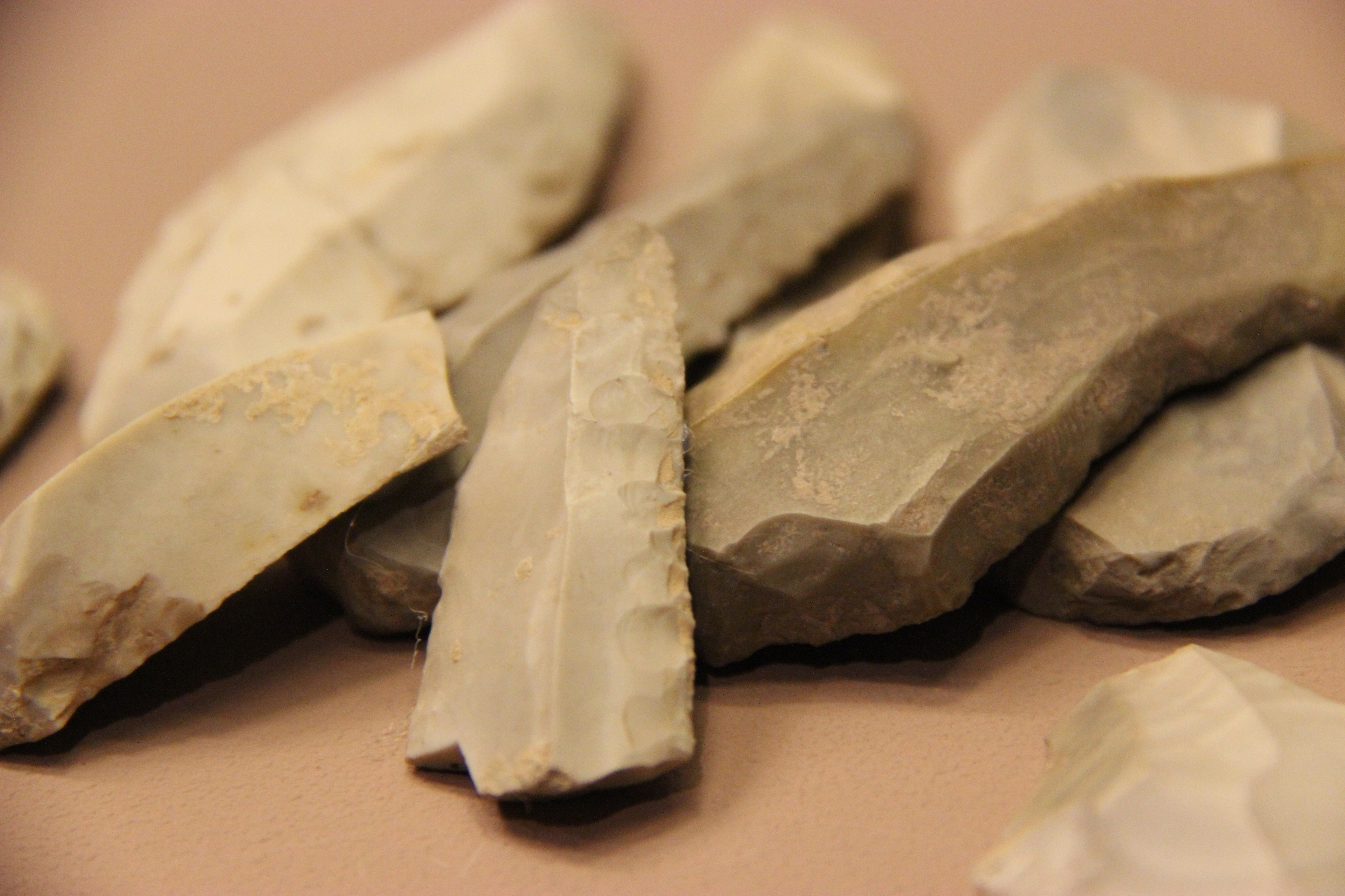 Teil der archäologischen Sammlung.